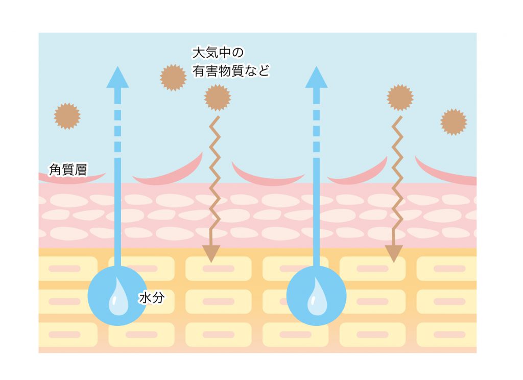 角質